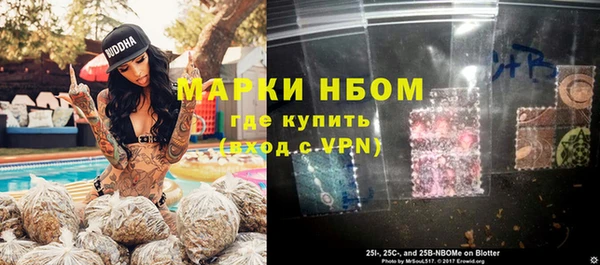 дмт Алзамай