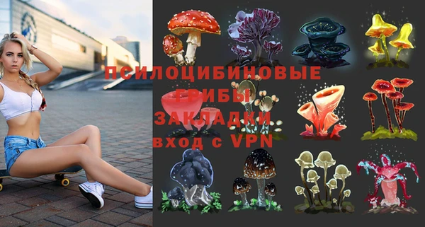 таблы Алексеевка