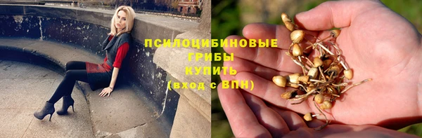 экстази Алексин