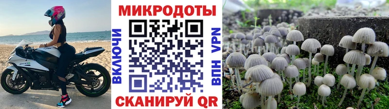 Псилоцибиновые грибы ЛСД  как найти закладки  Красноармейск 